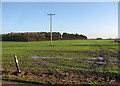 West Wratting: wet start to a footpath