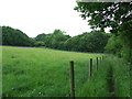 Footpath And Fence