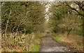 Deerness Valley Walk below Broompark