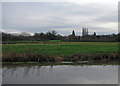 TL4355 : Grantchester: water meadows by John Sutton