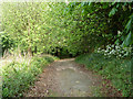 Permissive path towards Groombridge Road