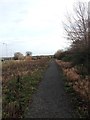 Biggleswade footpath