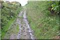 Track near Kilmory Church