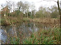 Pond by the Copcut Stream, Droitwich (1)