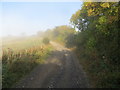 Border Abbeys Way near Sunnybank on a misty October morning