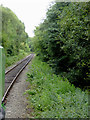 Railway line at Leekbrook, Staffordshire