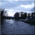 SE2336 : Extreme flood on the River Aire, from Newlay Bridge (3) by Rich Tea