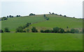 Pasture south-east of Leek, Staffordshire