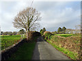 The lane from Abergafren to Minffordd