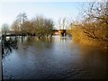 River  Derwent  in  flood  at  Malton  27th  Dec  2015  (6)