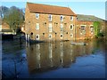 River  Derwent  in  flood  at  Malton  27th  Dec  2015  (10)