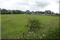 Pasture south-east of Leek, Staffordshire