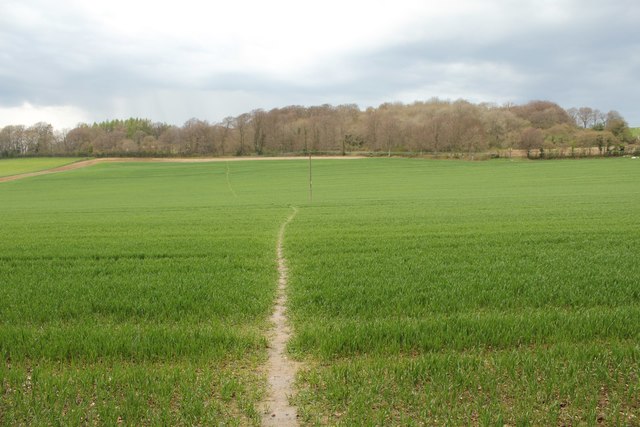 Path to Noar Plantation atop Northfield Hill