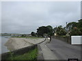 W5142 : Trotting along by the beach at Courtmacsherry by Jonathan Thacker