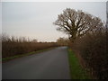 Country lane near Wootton Bassett