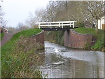 ST2725 : Bridge 26, Taunton & Bridgwater Canal, in Creech St Michael by David Smith