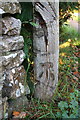 Benchmark on gatepost, Cothill Road