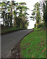 Hildersham Crossroads - towards Abington