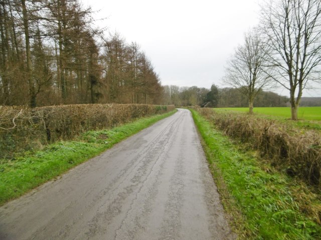 Long Crichel, minor road