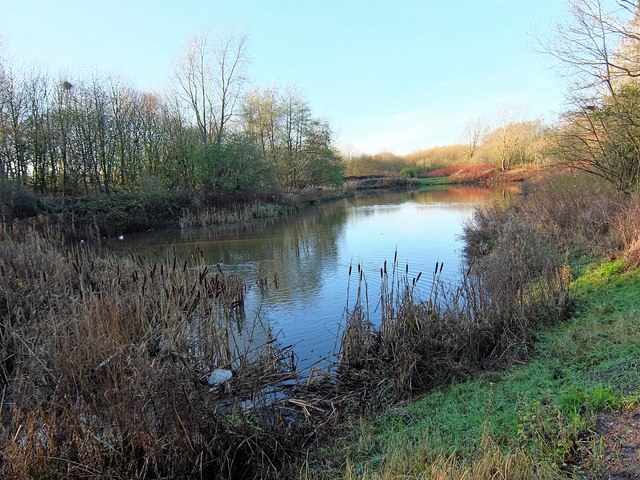 A pond near Walton Park