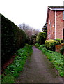 Path towards Peacocks Brook, Newent