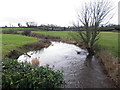 River, Tully Short / Ballindullagh