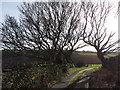 Lane near Groes-faen Farm