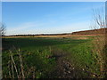 Former gasworks site off Wateringpool Lane