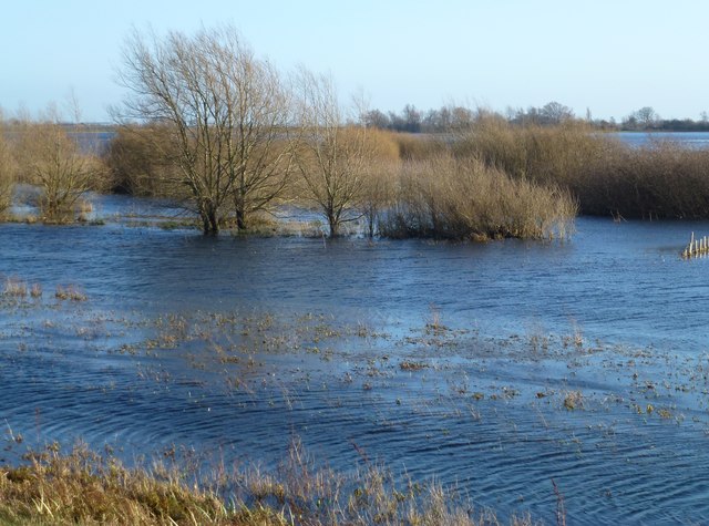 The Delph in flood - The Ouse Washes near Welney