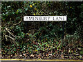 Amenbury Lane sign