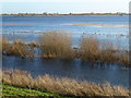 TL5191 : Blue flood waters - The Ouse Washes near Welney by Richard Humphrey