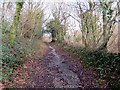 Llwybr Ceffyl Cross Hands Bridleway