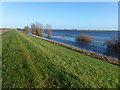 TL5192 : Footpath on the embankment - The Ouse Washes near Welney by Richard Humphrey