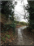 TL1314 : Footpath to the Nickey Line by Geographer