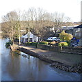 Wrecked garden, Kirkstall Bridge Inn