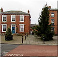 Two Christmas trees in Newent town centre