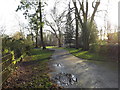 TM1645 : Path in Christchurch Park by Geographer