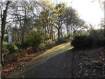 TM1645 : Path in Christchurch Park by Geographer
