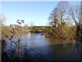 The River Swale in flood at Topcliffe