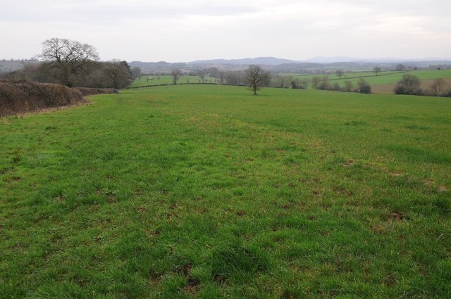 Farmland near Thornbury
