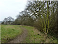 Rough field next to playing fields