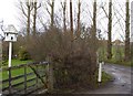 Dovecote by bridleway