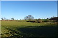 Fields off Hollybank Lane