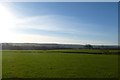 Fields in low winter sun