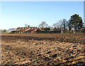 View towards Acle Academy