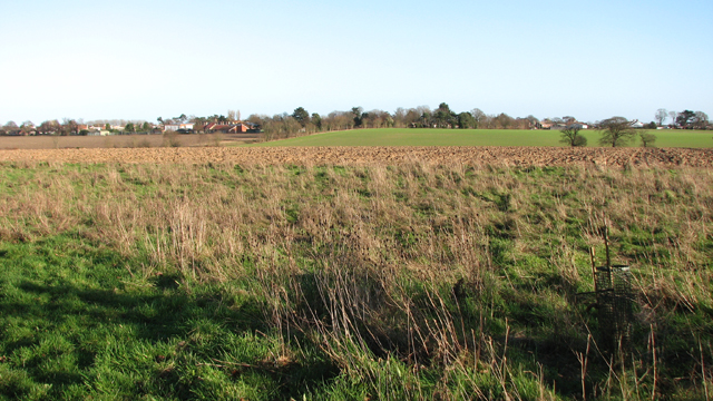View towards Acle from Jubilee Wood