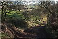 Path near Osmotherley