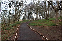 NS2310 : Path to Visitor Centre, Culzean Country Park by Billy McCrorie
