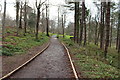 NS2310 : Path to Culzean Castle by Billy McCrorie