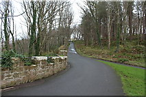 NS2310 : Road to Visitor Centre, Culzean by Billy McCrorie